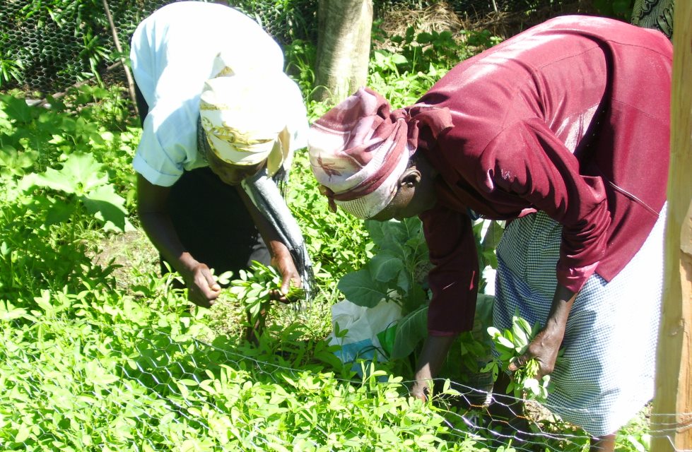 Food Security